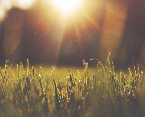 Stichting Do! opgericht door lokale ondernemers